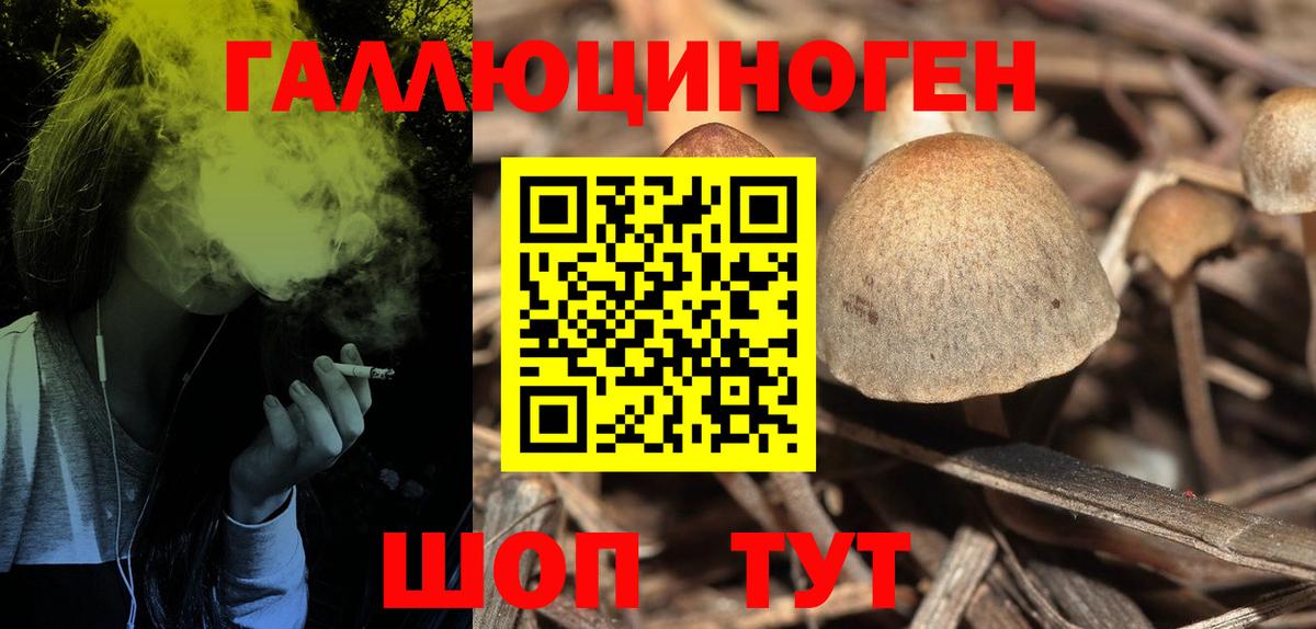 Псилоцибиновые грибы Psilocybine cubensis  Вход с VPN  Заринск  Галлюциногенные грибы прущие грибы 